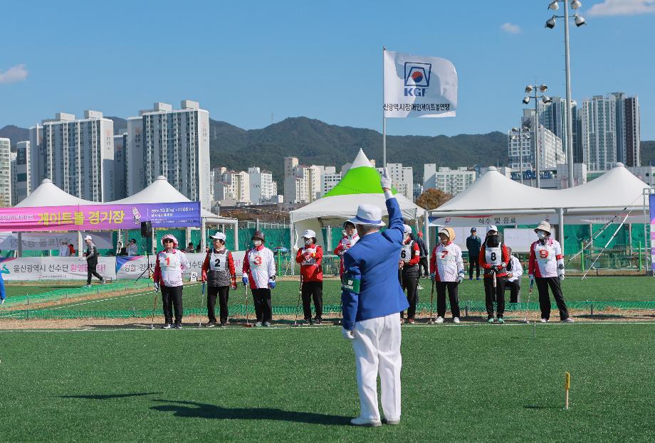 대한장애인체육회