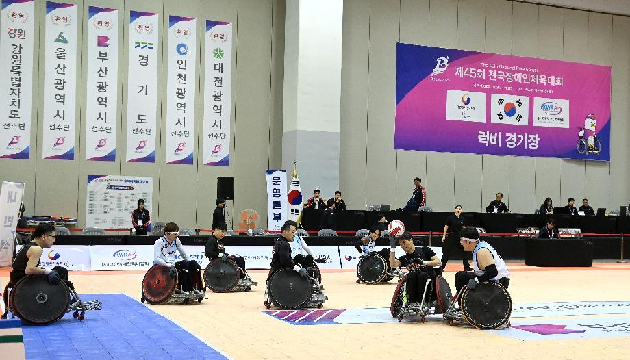 대한장애인체육회