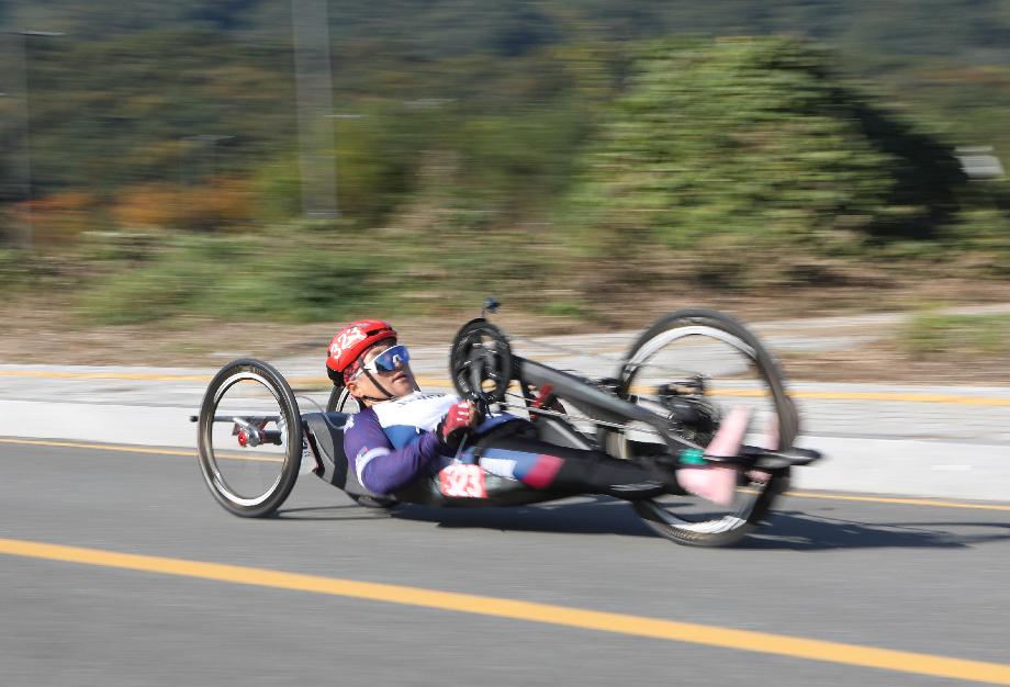 대한장애인체육회