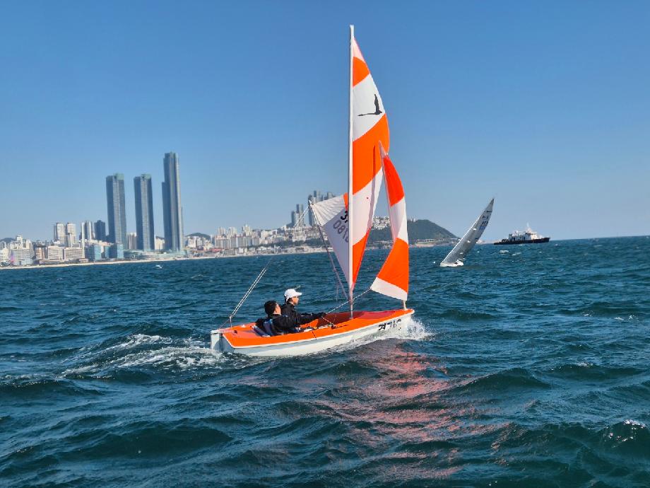 대한장애인체육회